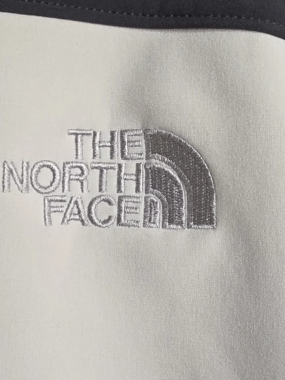 The North Face right plastic